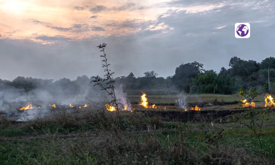 Indonesia wildfire haze
